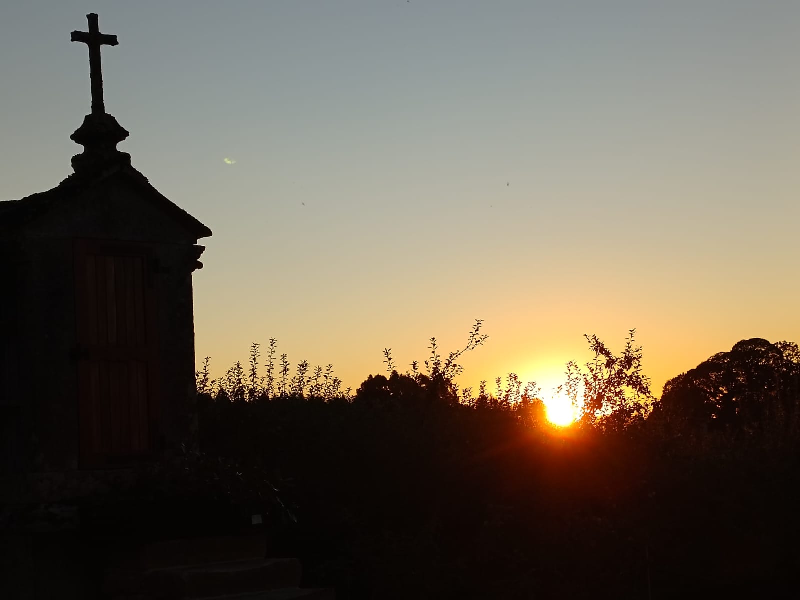 IMG-20231001-WA0006