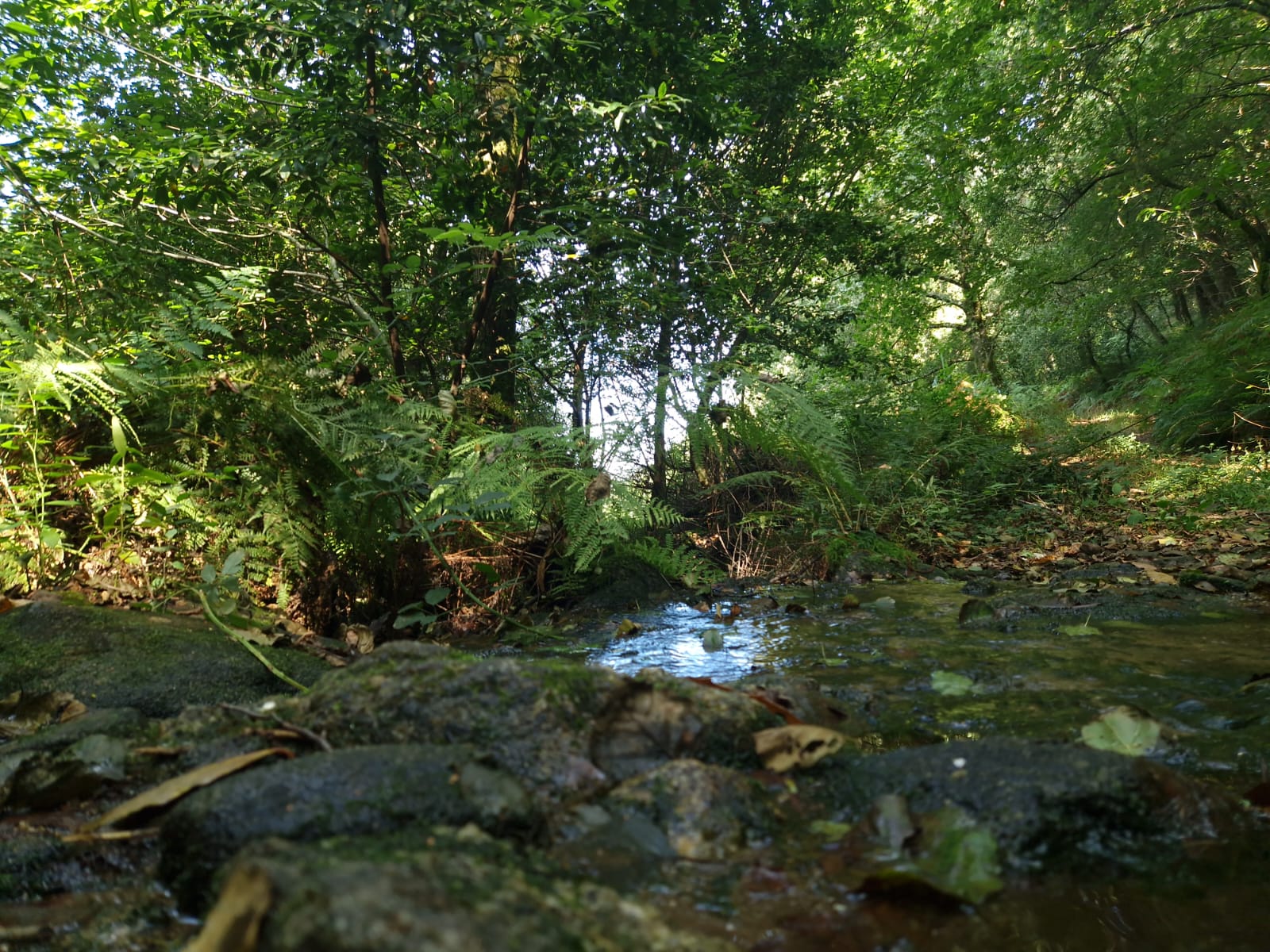 IMG-20240915-WA0018